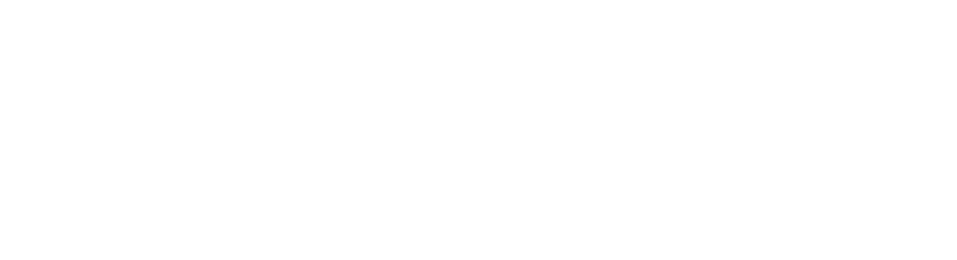 Press 1 Voice